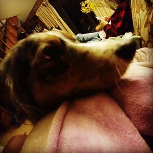 Meet your Posher, Janell